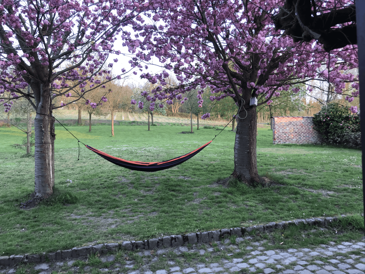 Verger du domaine de Krayenberg