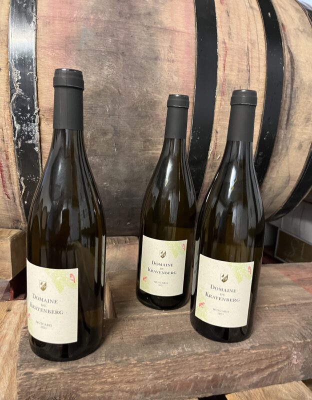 Muscaris de Beersel 2023