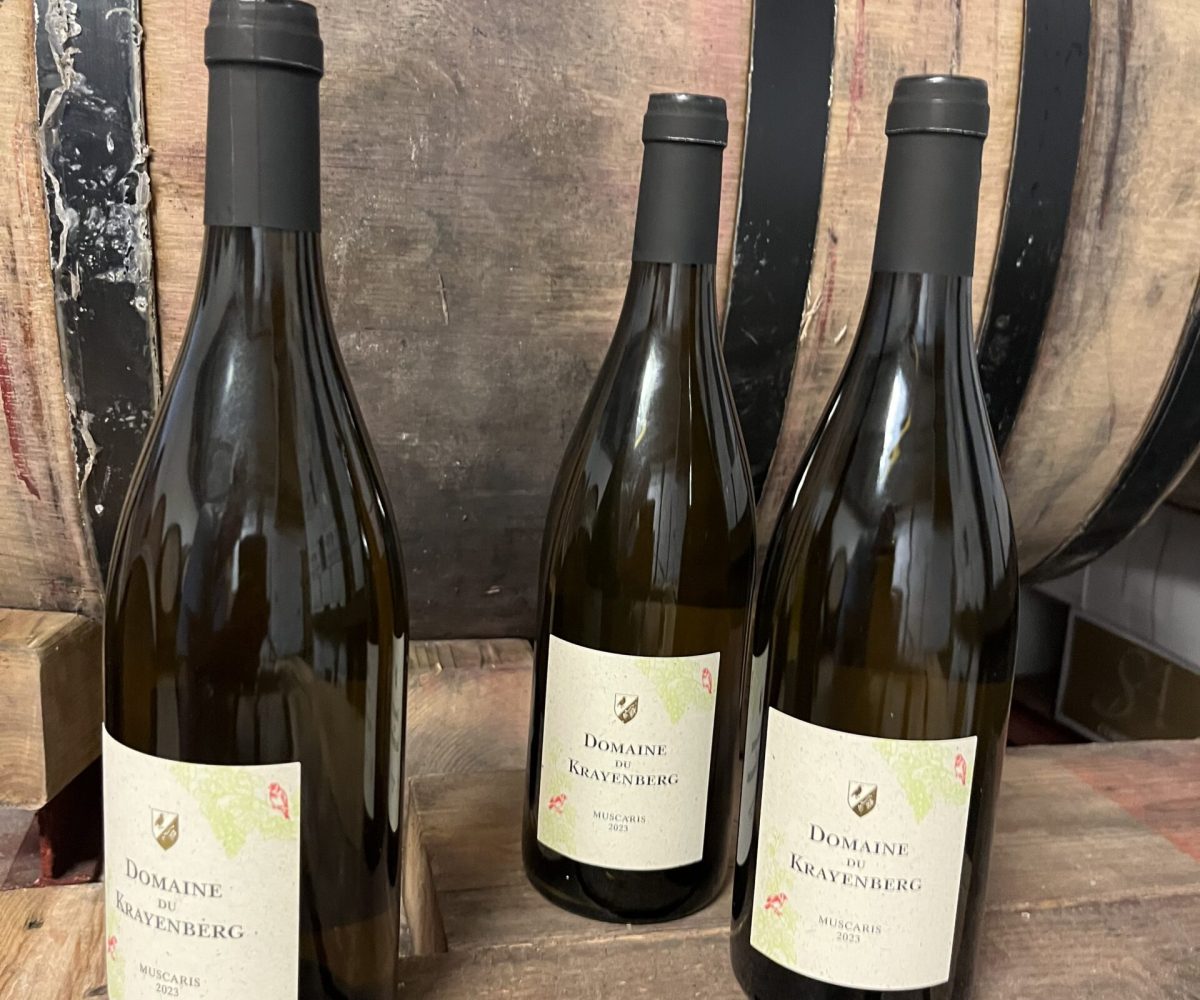 Muscaris de Beersel 2023